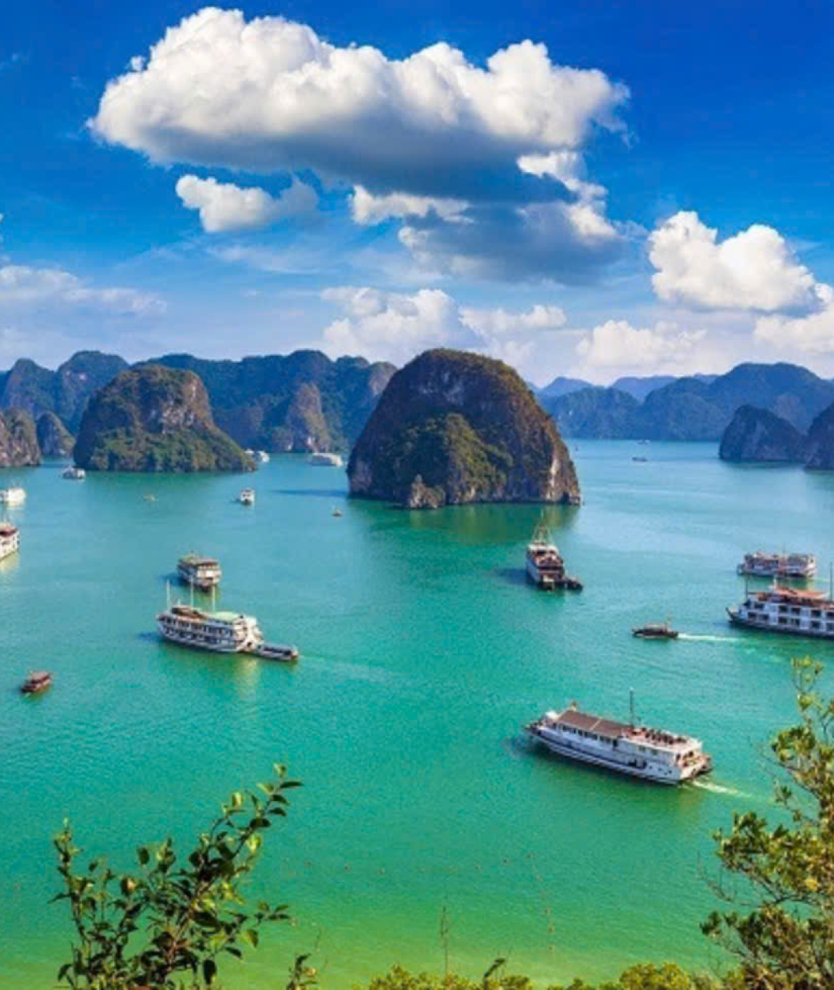 DU THUYỀN VỊNH HẠ LONG 